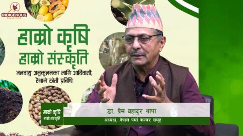 डा. प्रेम बहादुर थापा_ अध्यक्ष, नेपाल पर्मा कल्चर 