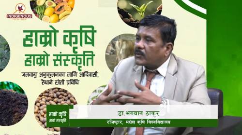 डा.भगवान ठाकुर_ रजिष्ट्रार, मधेश कृषि विश्वविद्याल