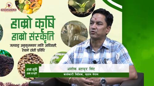 अशोक बहादुर सिंह_कार्यकारी निर्देशक, फ्यान नेपाल |
