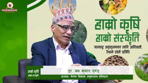 डा. जय कुमार गुरुङ_ अध्यक्ष, नेपाल विकास अनुसन्धान