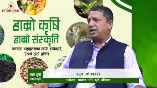उद्धव अधिकारी_ संयोजक, खाद्यका लागि कृषि अभियान | 