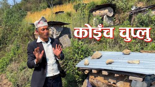 सुर्बु (मौरी) पालनले युरिक एसिड निको भयो । Sunuwar
