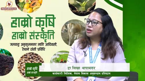 Krishi | Epi - 158 | डा.शिखा थापामगर_कार्यकारी निर