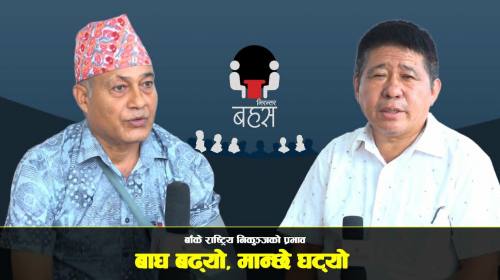 घर भित्र नै बाघकाे आक्रमणमा पर्न थाले | दान बहादुर