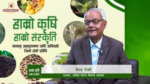 Krishi || Epi-159 || भैरब रेग्मी_अध्यक्ष, अखिल नेप