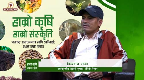 Krishi | Epi-161 | नित्यराज राउत_पर्यावरणीय उद्यमी