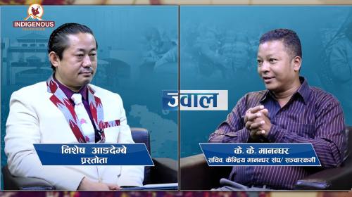 Janasawal | इन्द्रजात्रा र नेवाः संस्कृति, हराउँदै