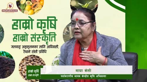 Krishi | Epi-162 | माया केसी_पर्यावरणीय मानव केन्द