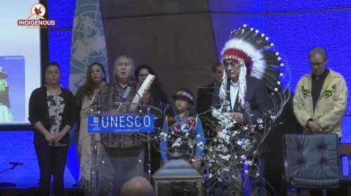 International year of Indigenous Langauges officia